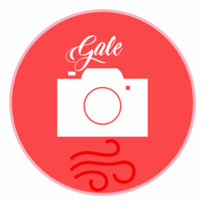 Gale